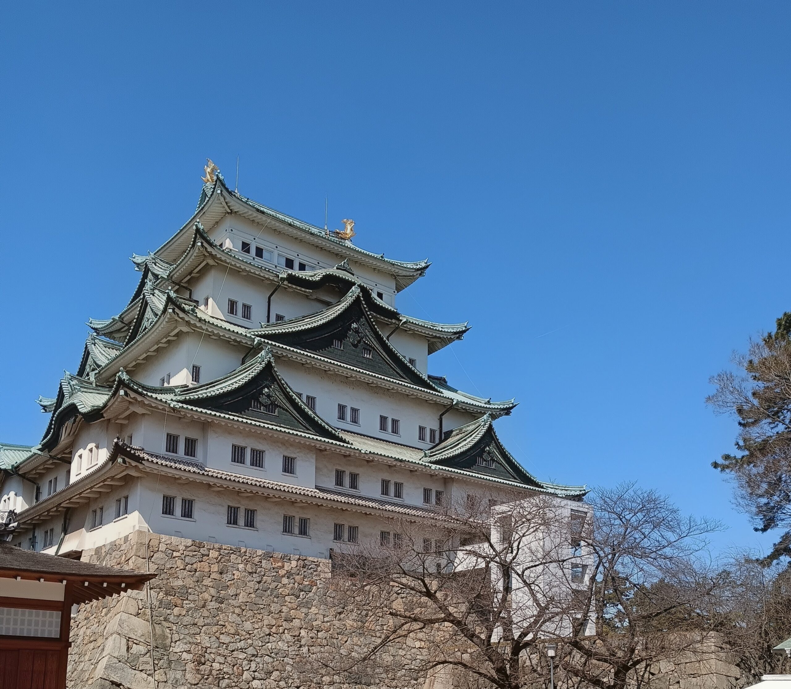 名城！金のシャチホコ「名古屋城」