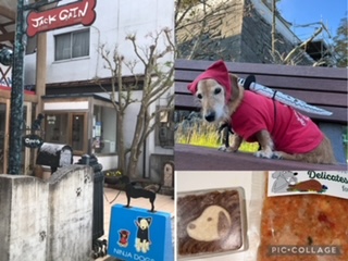 ドックカフェ&グッズ『JACKGAIN』