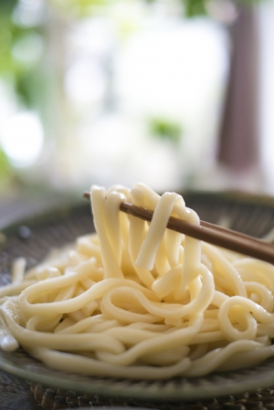 旅籠屋・高松店　周辺うどん店