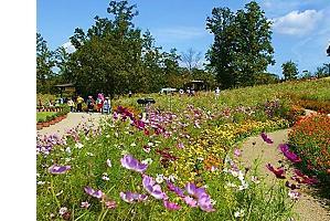 国営讃岐まんのう公園