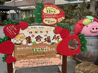 モクモクファーム さちのかいちご摘み体験