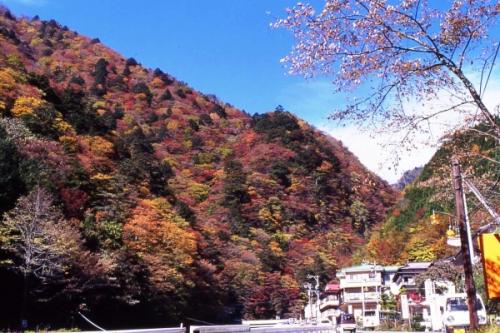 大自然の秘境の地 オクシズ