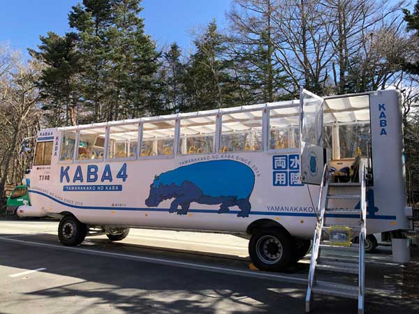 山中湖のカババス 【KABA】