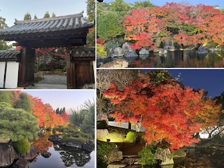 姫路城だけ見て帰るのはモッタイナイ! ｢好古園｣は必見です。