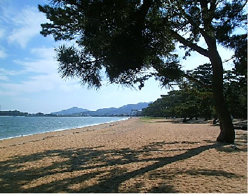 ちょっと車をおりて散歩「津田の松原／琴林公園」