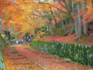湖東三山 百済寺