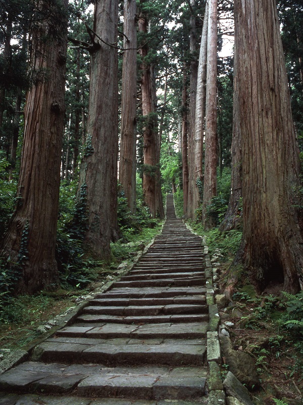 出羽三山神社 石段詣