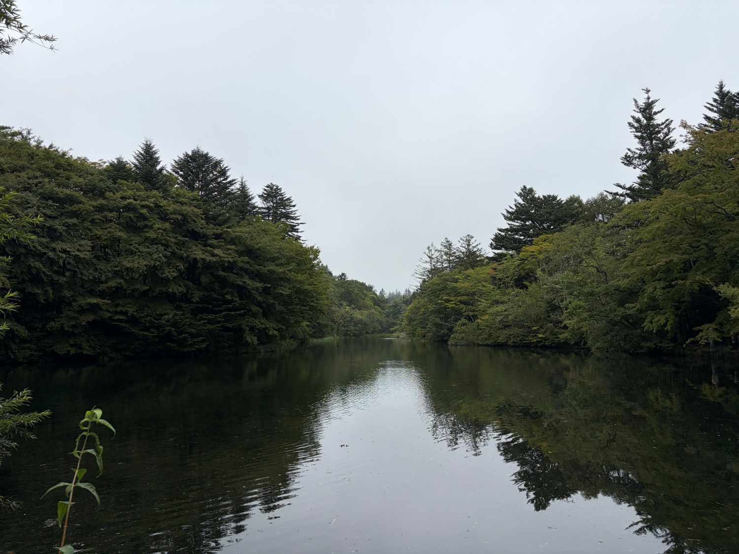 雲場池