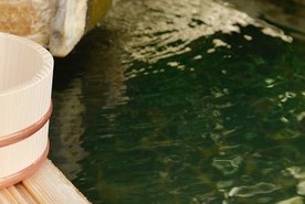 道の駅香南楽湯