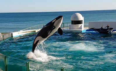 鴨川シーワールド